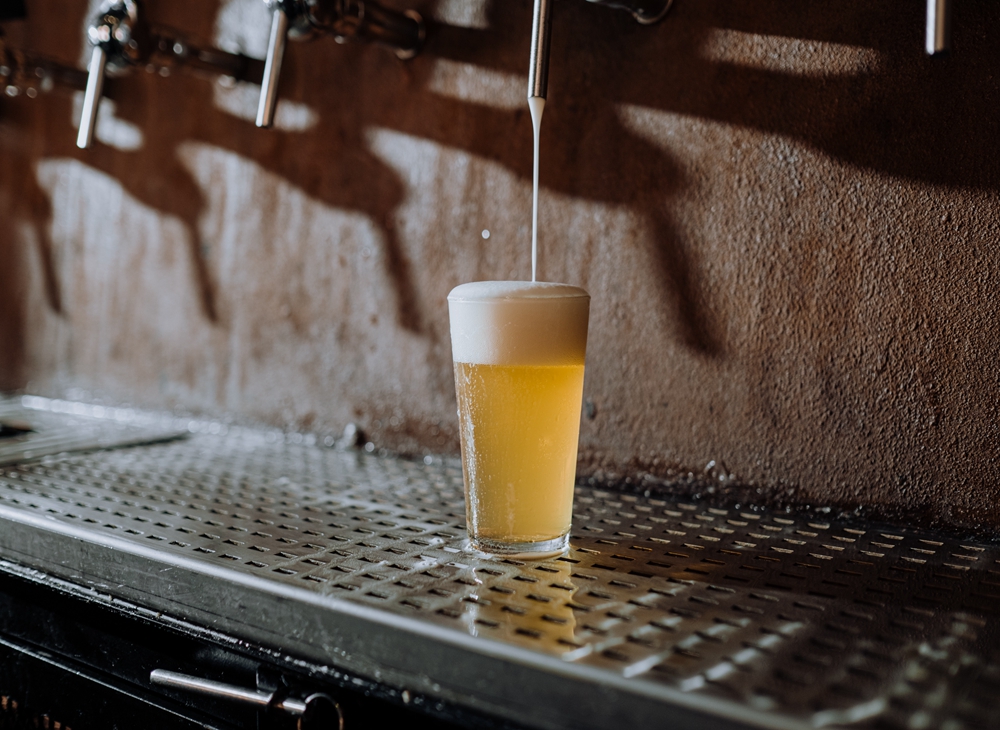 Reasons Why Your beer brew Is Not Fermenting (And What To Do!)